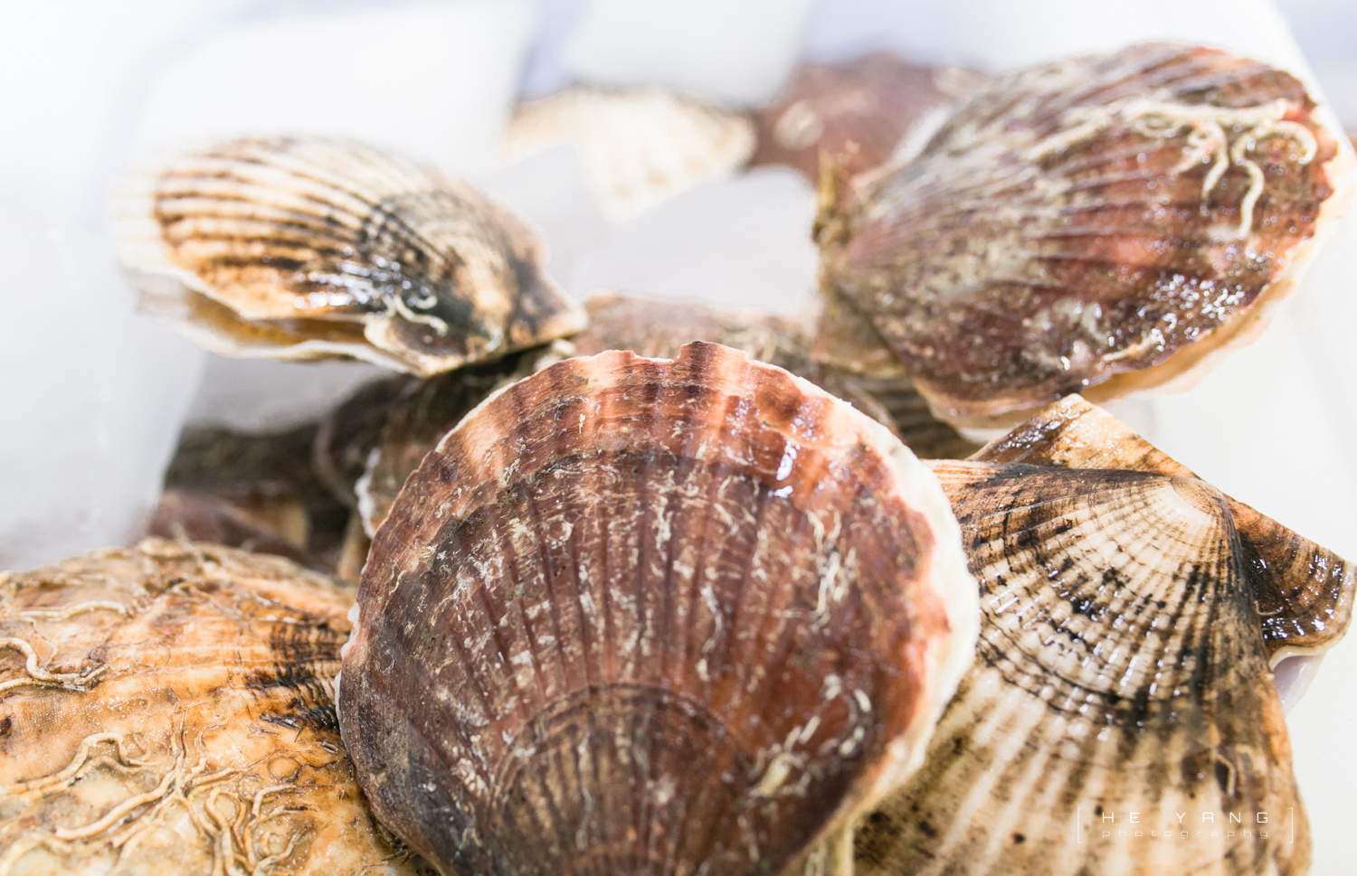 美丽的海滨城市营口鲅鱼圈,营口市鲅鱼圈十年变化