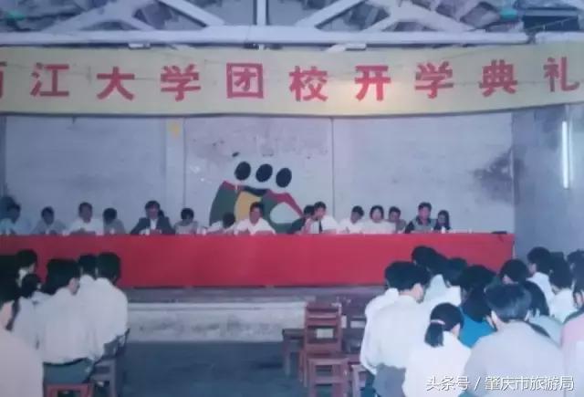 肇庆最好的学院有哪几个,肇庆市最美学校