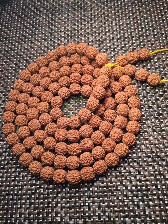 金刚圈子里混三年,这些品种都够呛能认全!