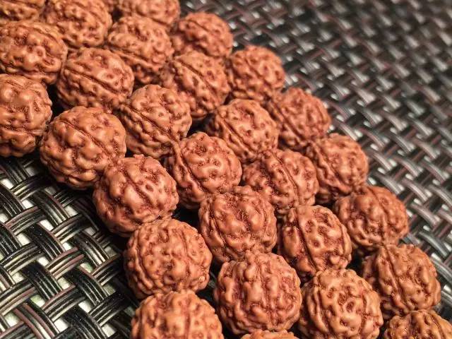 金刚圈子里混三年,这些品种都够呛能认全!