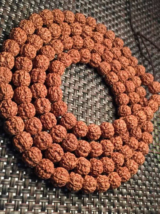 金刚圈子里混三年,这些品种都够呛能认全!