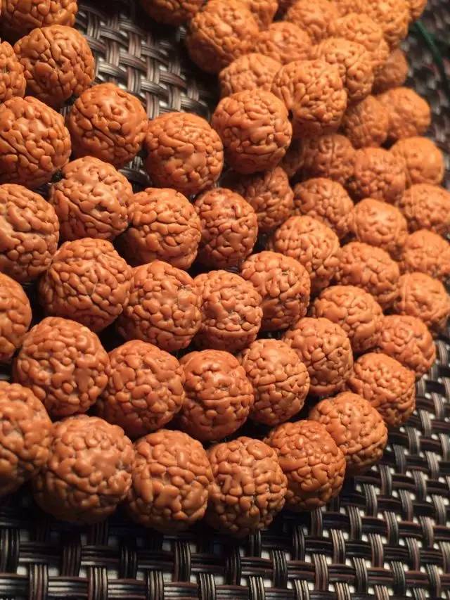 金刚圈子里混三年,这些品种都够呛能认全!