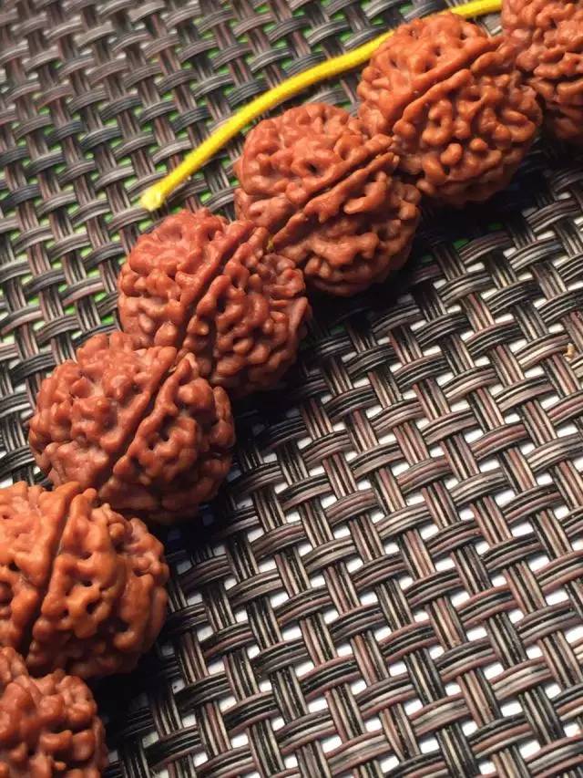 金刚圈子里混三年,这些品种都够呛能认全!