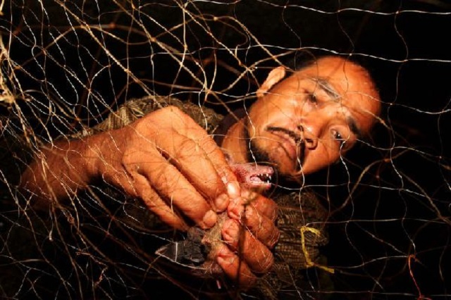 印尼居民就好这口,另类食物据说养生延年,还因此开辟新职业