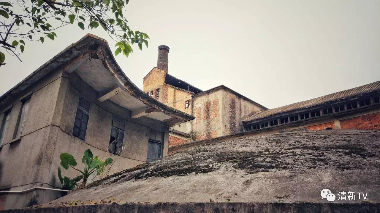 清远旧糖厂创意园,清远红砖厂创意产业园