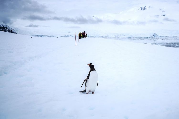 嗨哩文旅丨在世界的尽头的九个日日夜夜