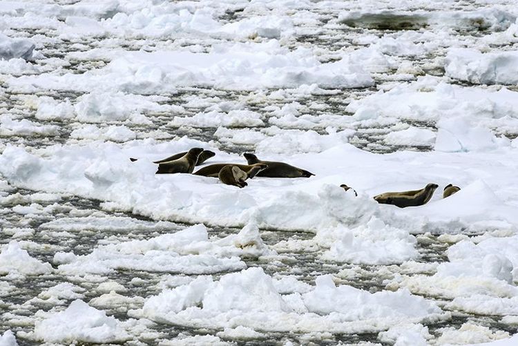 嗨哩文旅丨在世界的尽头的九个日日夜夜