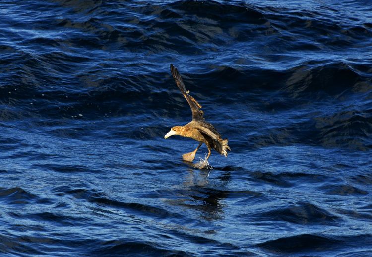嗨哩文旅丨在世界的尽头的九个日日夜夜
