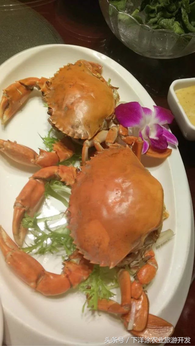 宁波海鲜餐排行榜第一名,宁波江北区海鲜排行榜前十名