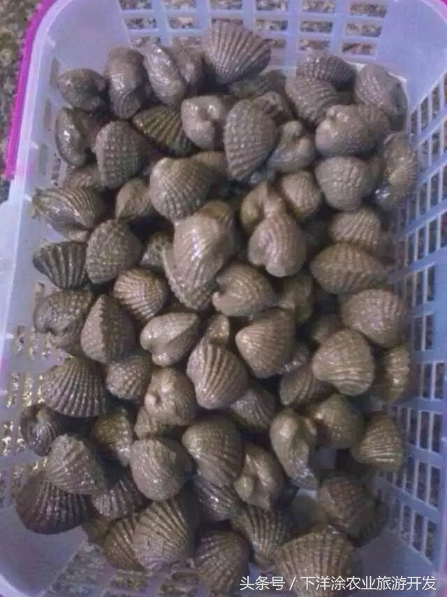 宁波海鲜餐排行榜第一名,宁波江北区海鲜排行榜前十名