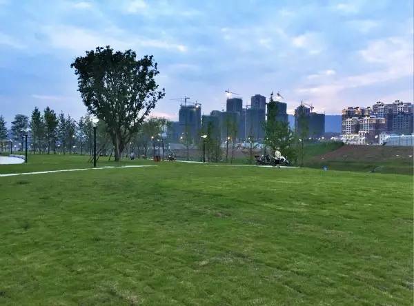 临港为什么那么多公园,宜宾临港公园