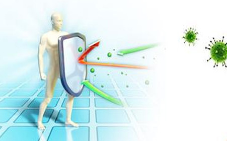 科莫多龙pk,真正的科莫多龙