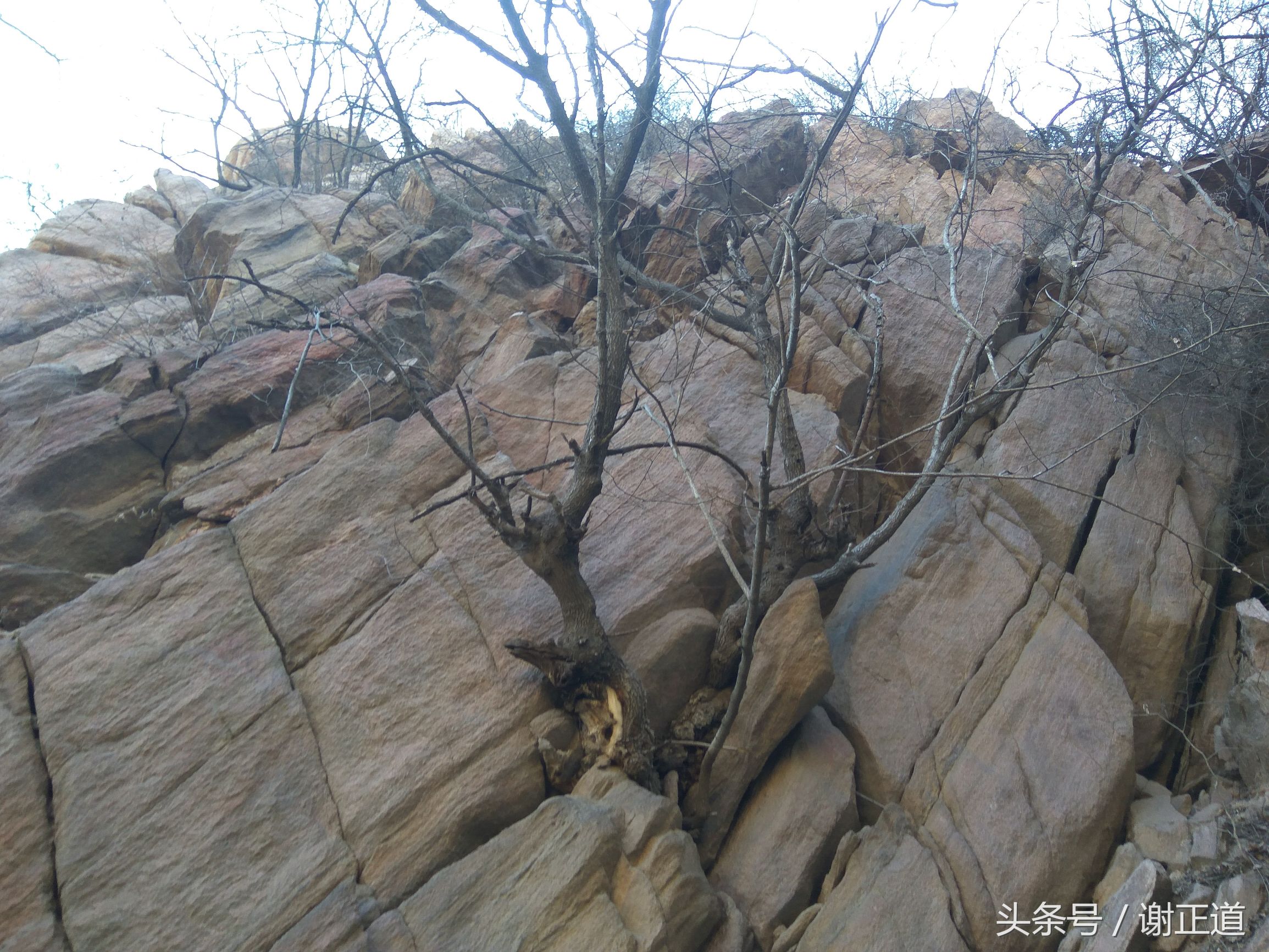 灵寿秋山风景区攻略,灵寿秋山自然风景区电话