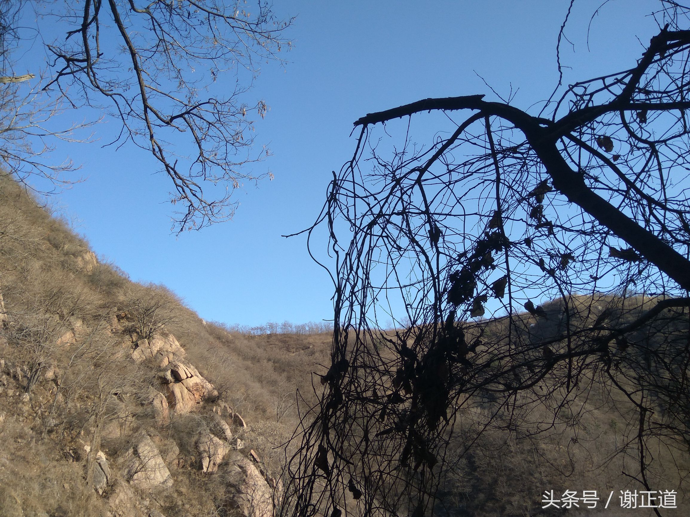 灵寿秋山风景区攻略,灵寿秋山自然风景区电话