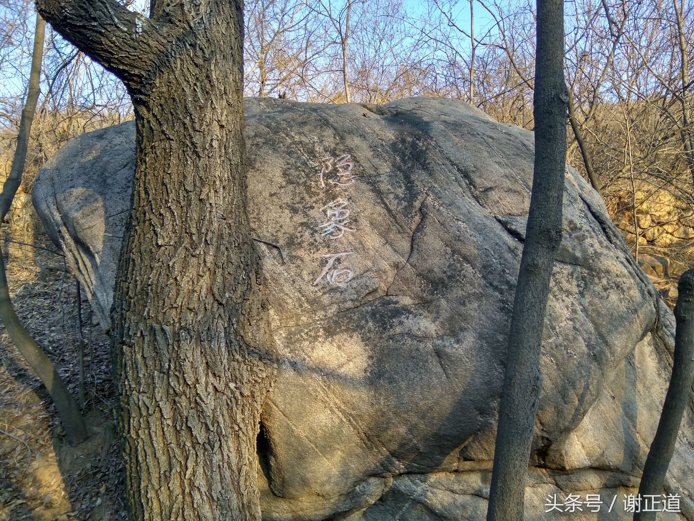 灵寿秋山风景区攻略,灵寿秋山自然风景区电话