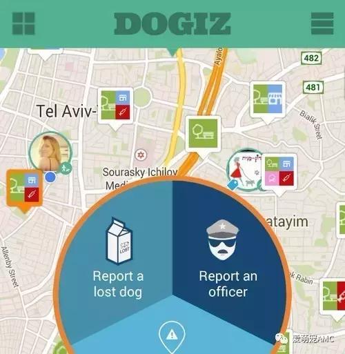 以色列宠物天堂,狗的天堂以色列