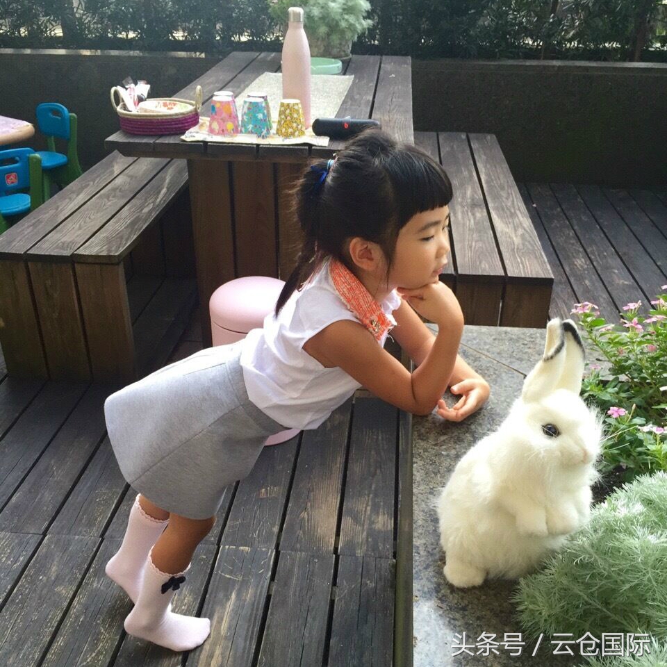 婆媳相处之道宝妈讲述,婆媳那些事儿电视剧免费观看