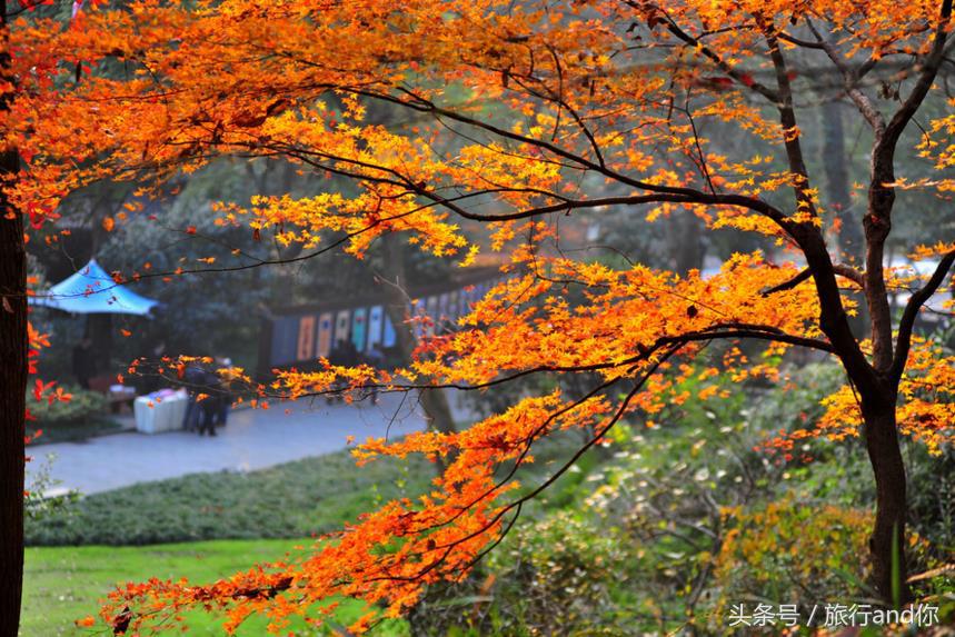 厦门三四线旅游,杭厦旅游