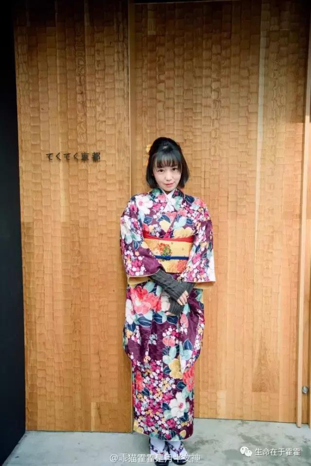 拉面 · 自动贩售机 · 雪｜云之彼岸的日本欢脱之旅