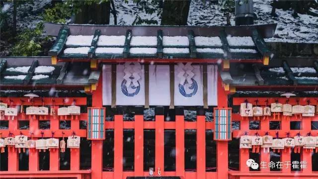 拉面 · 自动贩售机 · 雪｜云之彼岸的日本欢脱之旅