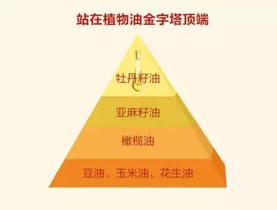 牡丹籽油对脑梗有好处吗,牡丹籽油真能提高记忆力吗