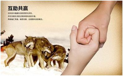 协同的含义是什么,战时军地协同重大意义