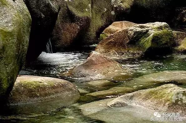 东莞长安有什么好玩的景点,东莞长安景点哪个值得去