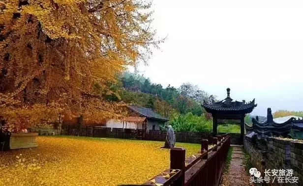 东莞长安有什么好玩的景点,东莞长安景点哪个值得去