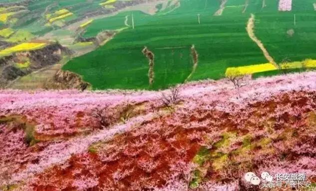 东莞长安有什么好玩的景点,东莞长安景点哪个值得去