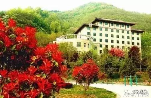 东莞长安有什么好玩的景点,东莞长安景点哪个值得去