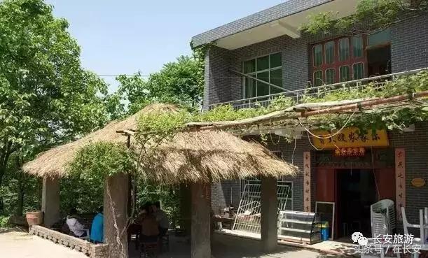 东莞长安有什么好玩的景点,东莞长安景点哪个值得去