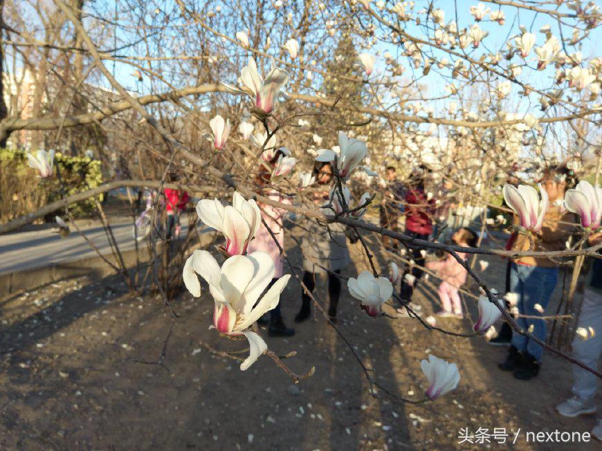 外表华丽与实用,htcuultra蓝宝石屏测试