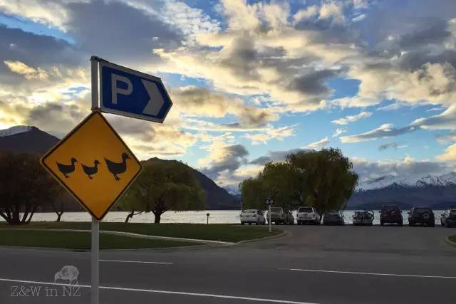 去新西兰绝对不要错过皇后镇,新西兰皇后镇自由行注意事项