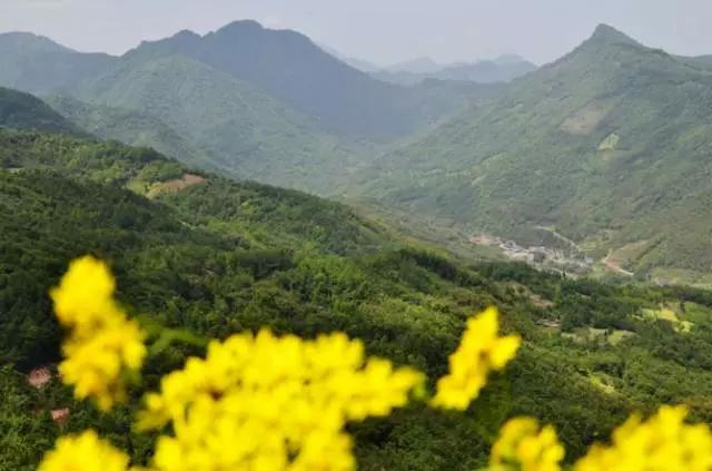 成都春季爬山踏青赏花一日游,成都周边踏青二日游自驾游