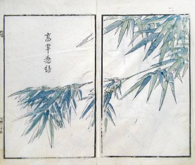 齐白石与芥子园画谱之缘,齐白石画作大全集