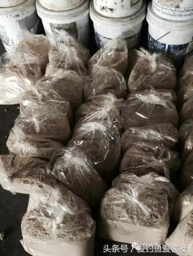 泰国巨骨舌鱼钓场位置,泰国钓鱼钓巨物位置