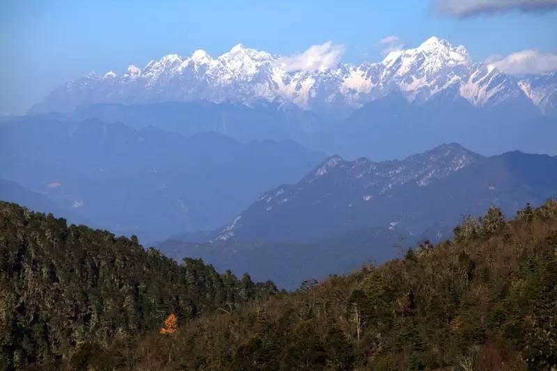 森林之眼好玩吗,森林之眼在景区哪个位置