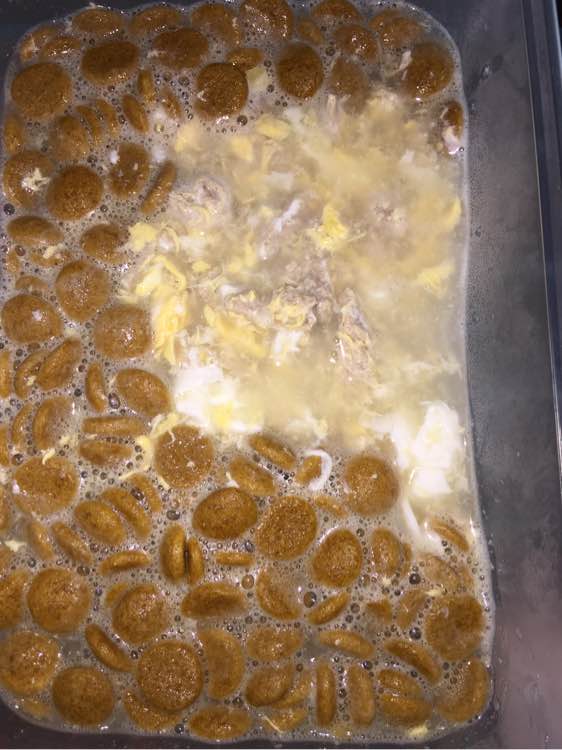 捡到的残疾泰迪狗,捡到被遗弃的泰迪