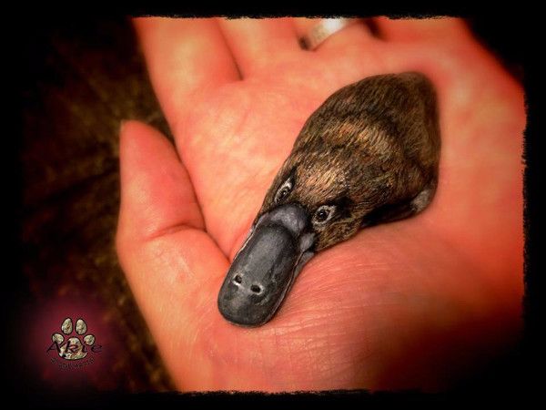 好可怕!他说画画的不是他,而是石头自己!