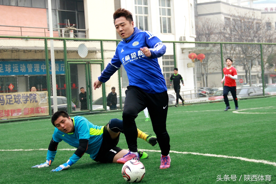 植树节手工种下一棵树留住一片绿,植树节推荐足球