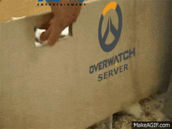 合格的猫咪铲屎官推荐,喵星人铲屎官必备