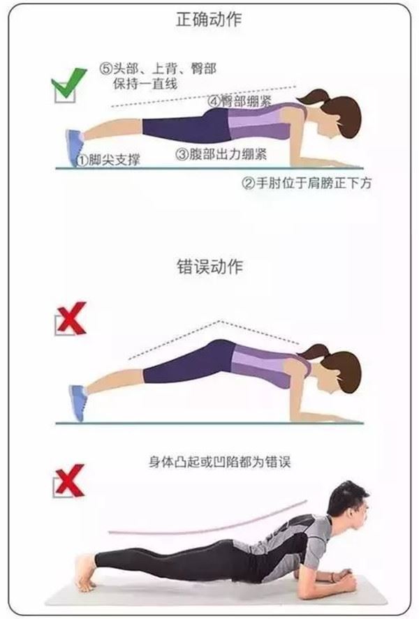 半个月平板支撑可以练出来马甲线,平板支撑一天多久能锻炼马甲线