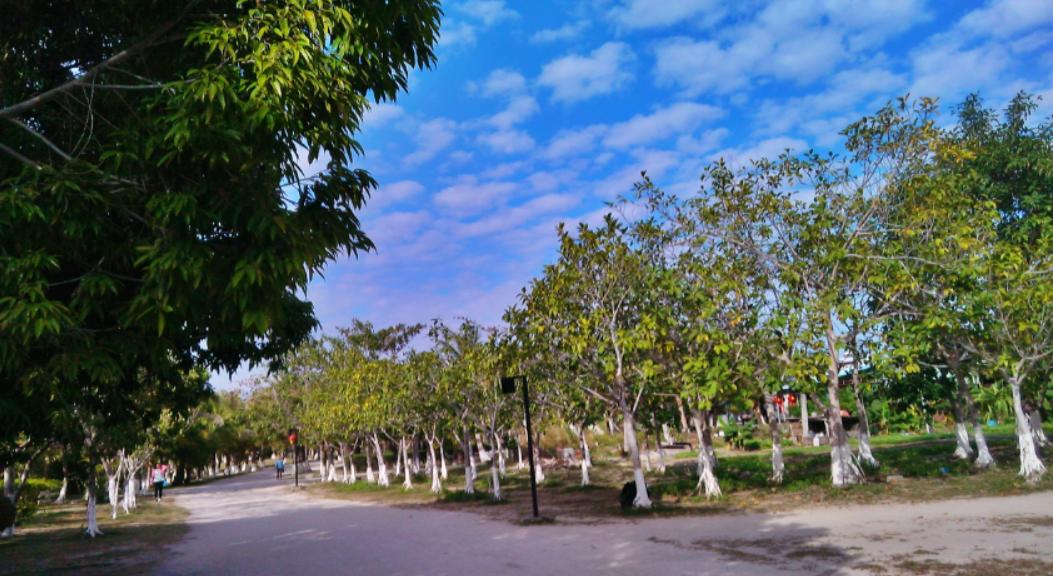 中兴v5max配置,中兴v5裸眼3d手机评测