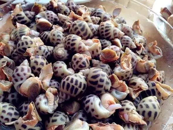 多种海鲜好吃美味来了解一下,海鲜美食大汇总