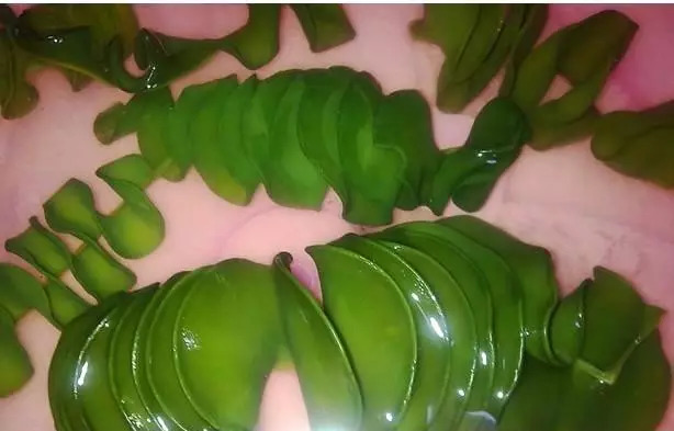 多种海鲜好吃美味来了解一下,海鲜美食大汇总