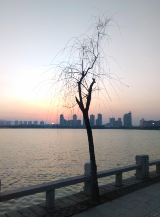 中兴v5max配置,中兴v5裸眼3d手机评测