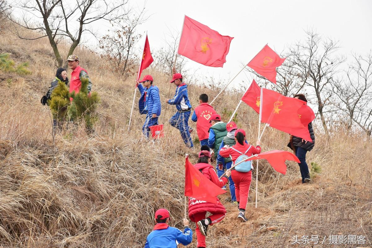 义务植树与创建森林城市,共建文明城市小学生