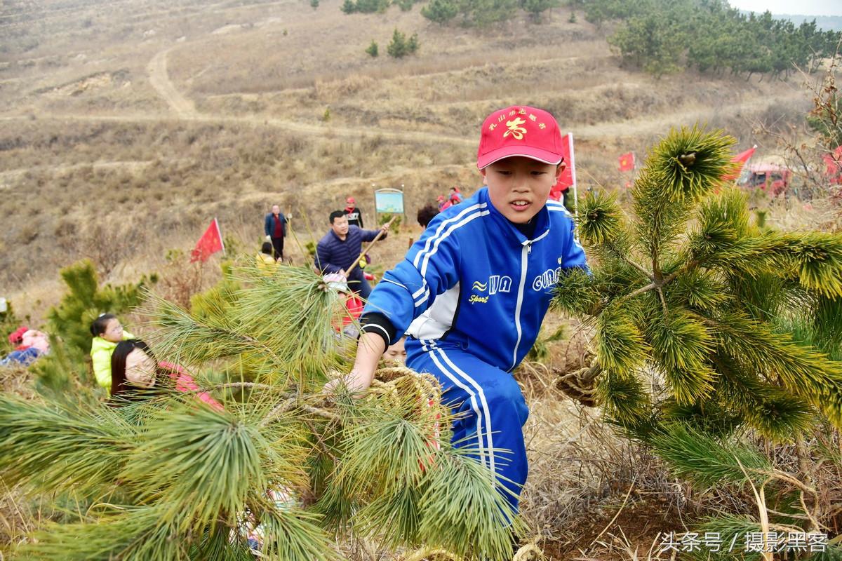 义务植树与创建森林城市,共建文明城市小学生