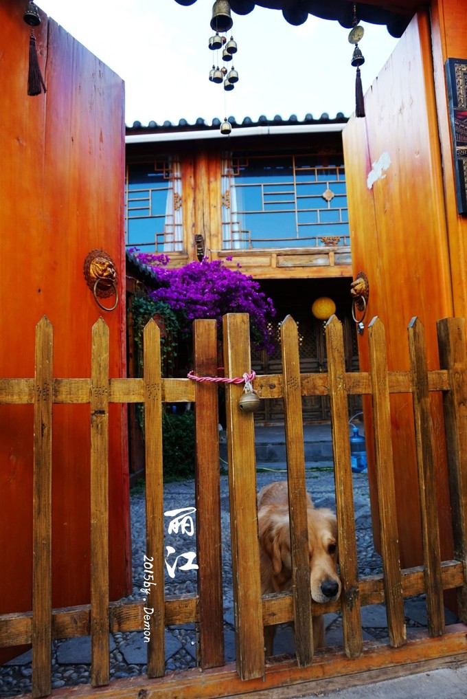 彩云以南,我们终于出发の我带着你,你带着钱!