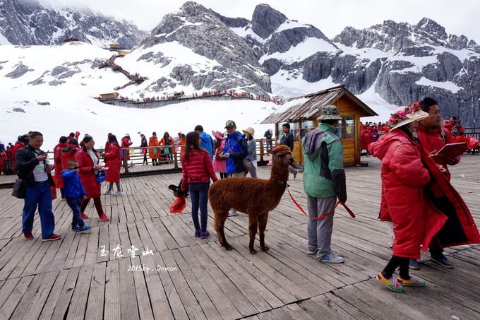 彩云以南,我们终于出发の我带着你,你带着钱!